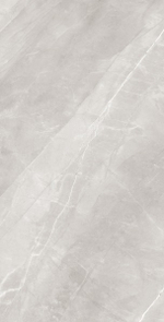 ARMANI SILVER RT7013-A