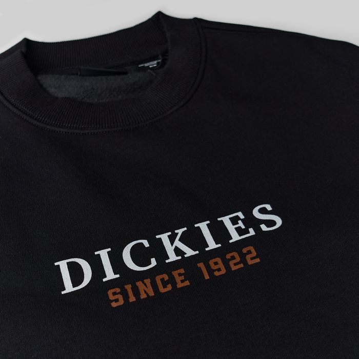 Толстовка мужская Dickies Park Sweatshirt артикул:DK0A4YEIBLK1 - купить в магазине Дайс