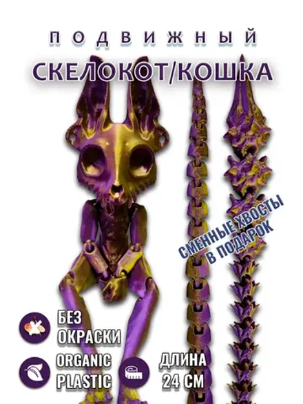 Скелет Кошки