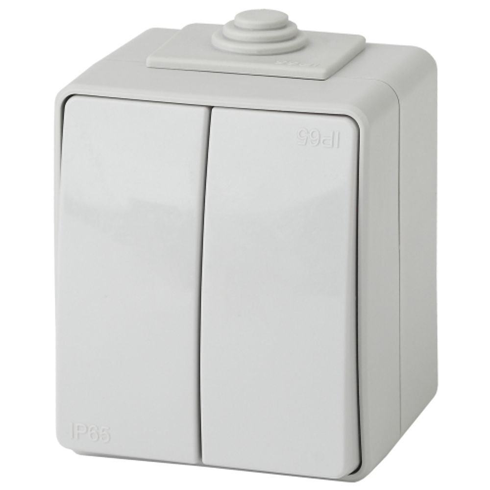 Переключатель ЭРА Эксперт 11-1606-03 двойной IP65 10АХ-250В ОУ серый | Эра Эксперт