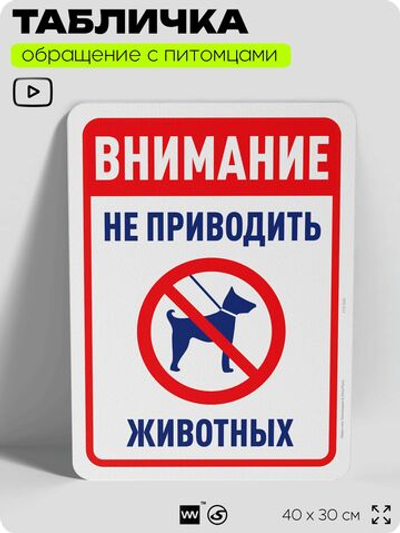 Табличка "Внимание, не приводить животных" на дверь и забор, для двора, дома, подъезда, 40х30 см, Silver Plane x Айдентика Технолоджи