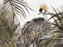 Коллекция Animality