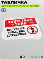 Табличка для обеспечения безопасности "Запретная зона, доступа нет", для офиса, по охране труда для предприятия, организаций, 40х30 см, Silver Plane x Айдентика Технолоджи