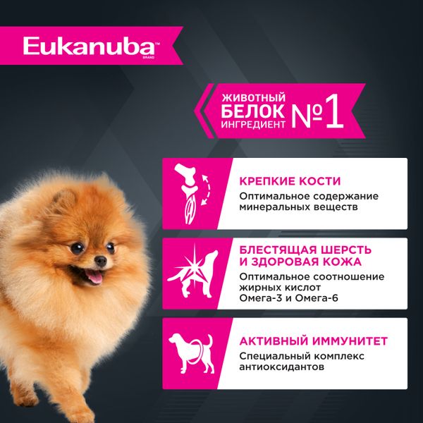 Пауч Eukanuba Adult All Breed для взрослых собак всех пород, с говядиной в соусе