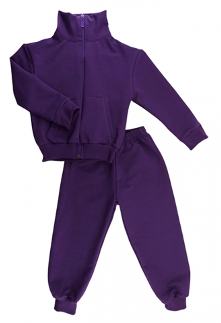 Спортивный костюм 0256/12 фиолетовый