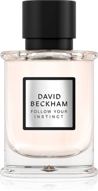 David Beckham Follow Your Instinct парфюмированная вода для мужчин