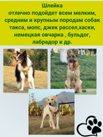 Шлейка для собак средних и крупных пород универсальная прогулочная тренировочная для дрессировки со светоотражателем жилет-трансформер черный размер M