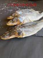 Судак вяленый с Ладожского озера, слабосоленый 1000 грамм