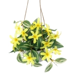 Цветочная композиция «Верона» 16см подвесная в горшке, желтые цветы