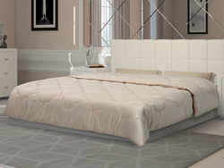 140-205 Одеяло всесезонное Soft Dreams 1,5 спальное