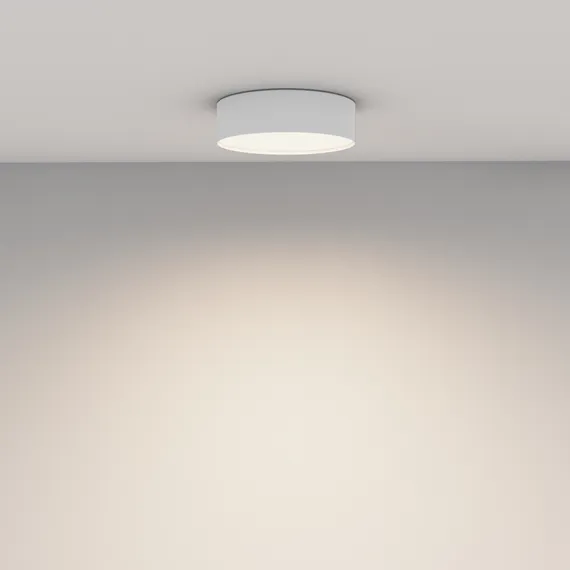 Потолочный светильник Зон / Zon 24 Вт 4000 К 120° Technical c032cl-24w4k-rd-w