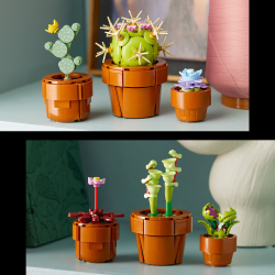 LEGO Botanicals - Маленькие растения 10329
