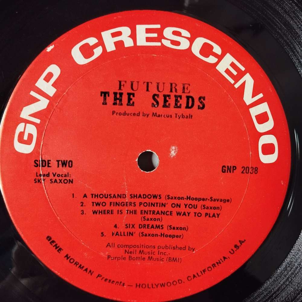 Винтажная виниловая пластинка LP The Seeds Future (USA 1967)