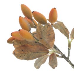 GAEM Ветка искусственная "Барбарис", L12 W12 H22 см