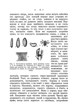 Сельскохозяйственные животные. Выбор, уход и кормление коров, лошадей, овец, коз и свиней | Любушин Алексей Алексеевич