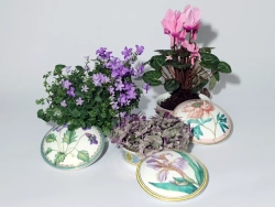 Туалетная коробочка в подарочной упаковке, форма Круглая, рисунок Фиалка надрезанная, арт 81.33190.00.1