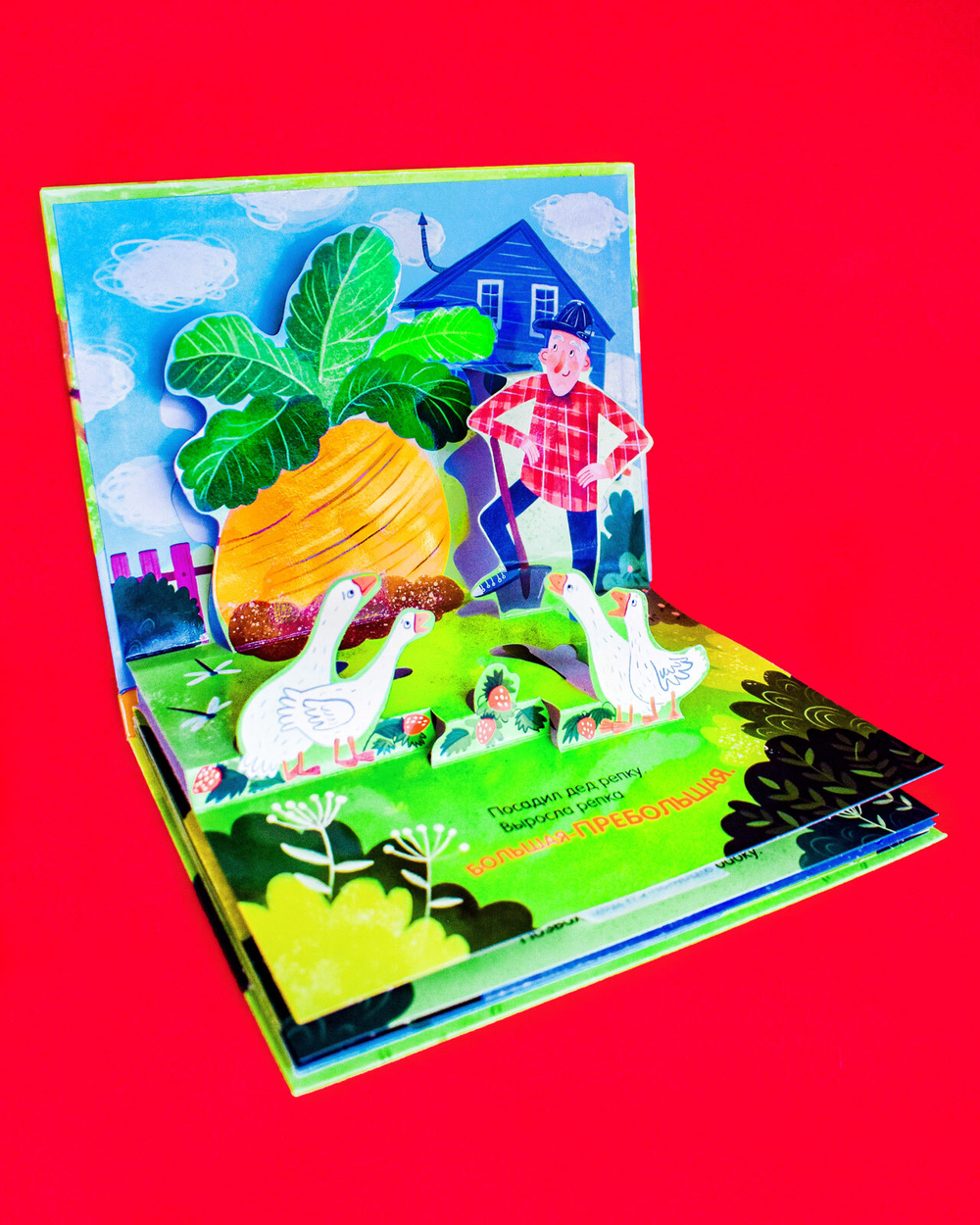 Книжки-панорамки. Репка. Сказка-панорамка