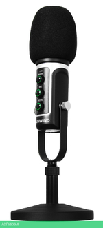 Микрофон SunWind SW-SM500G черный (1427255)