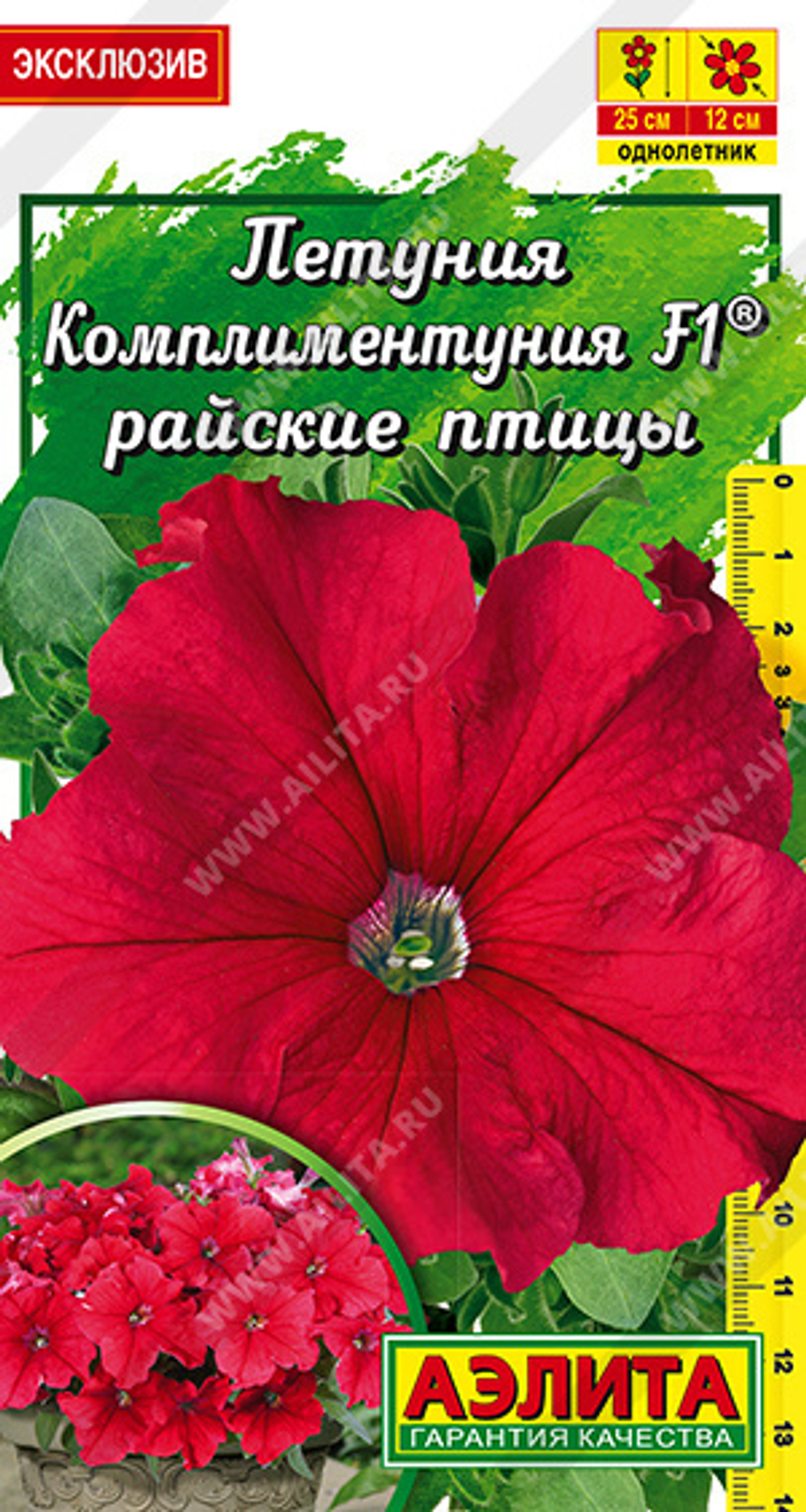 Комплиментуния Райская птица крупноцветковая Аэлита