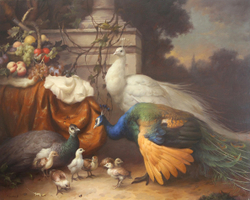 Павлины с птенцами