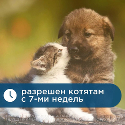 Спрей для лечения и профилактики арахноэнтомозов и профилактики дирофиляриоза у собак и кошек Фолайн НЕО (Pharmbiomed), 100мл Аверсектин/Фипронил