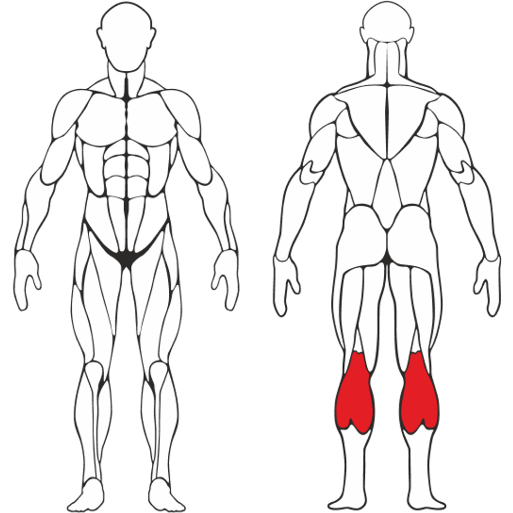Голень станок сидя Серый