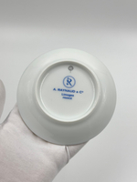 Розетка Raynaud