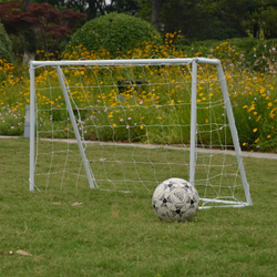 Ворота игровые DFC GOAL150