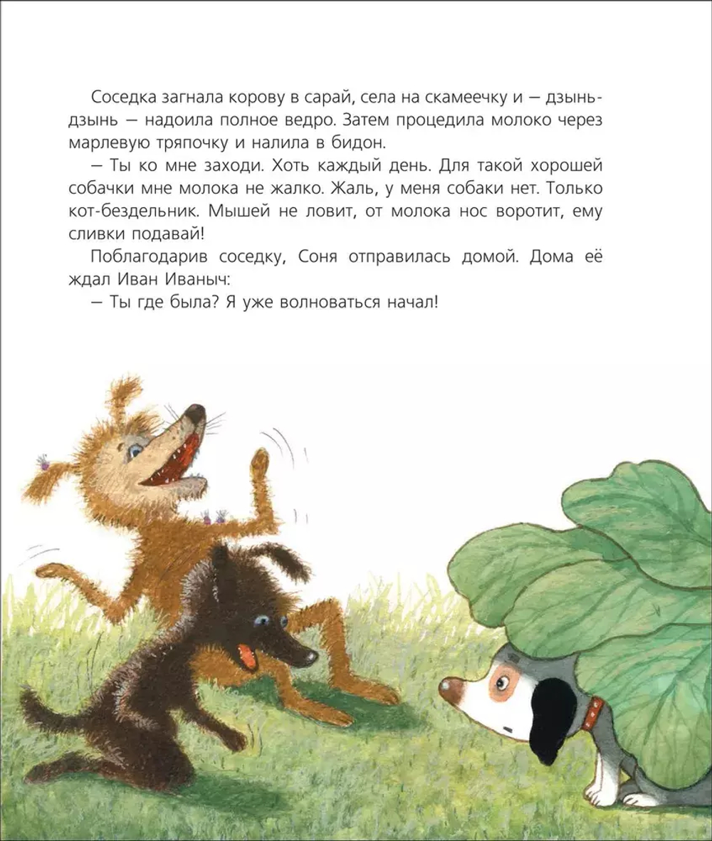Усачев А. Собачка Соня на даче