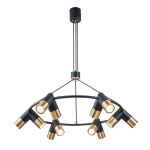 Подвесная люстра Indigo DOPPIO 11036/12P Black V000455