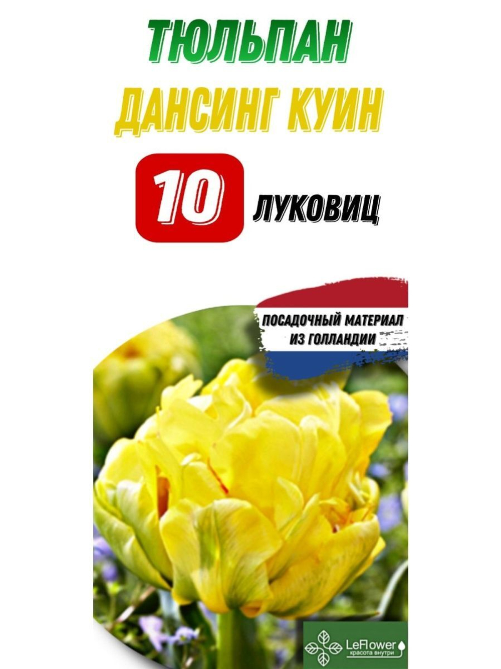Тюльпан Луковица, Дансинг Куин, 10шт