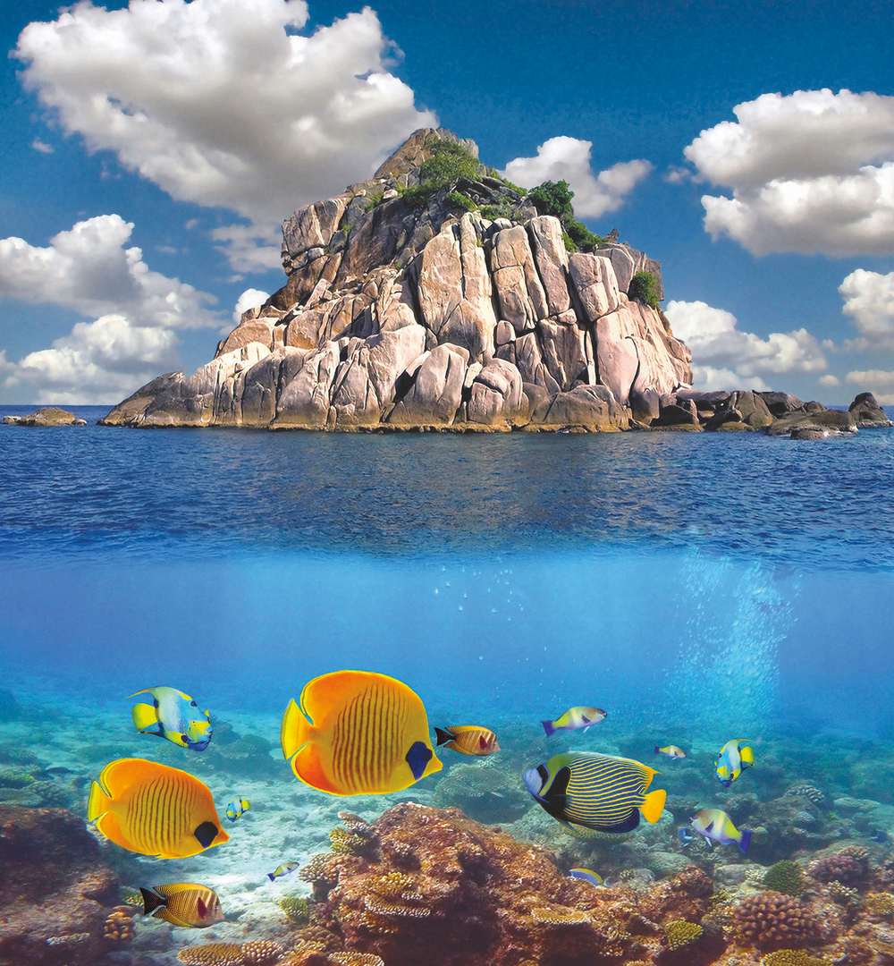 Коллекция Подводный мир