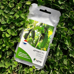 Cемена огурца Артист F1, Bejo, 7 шт.