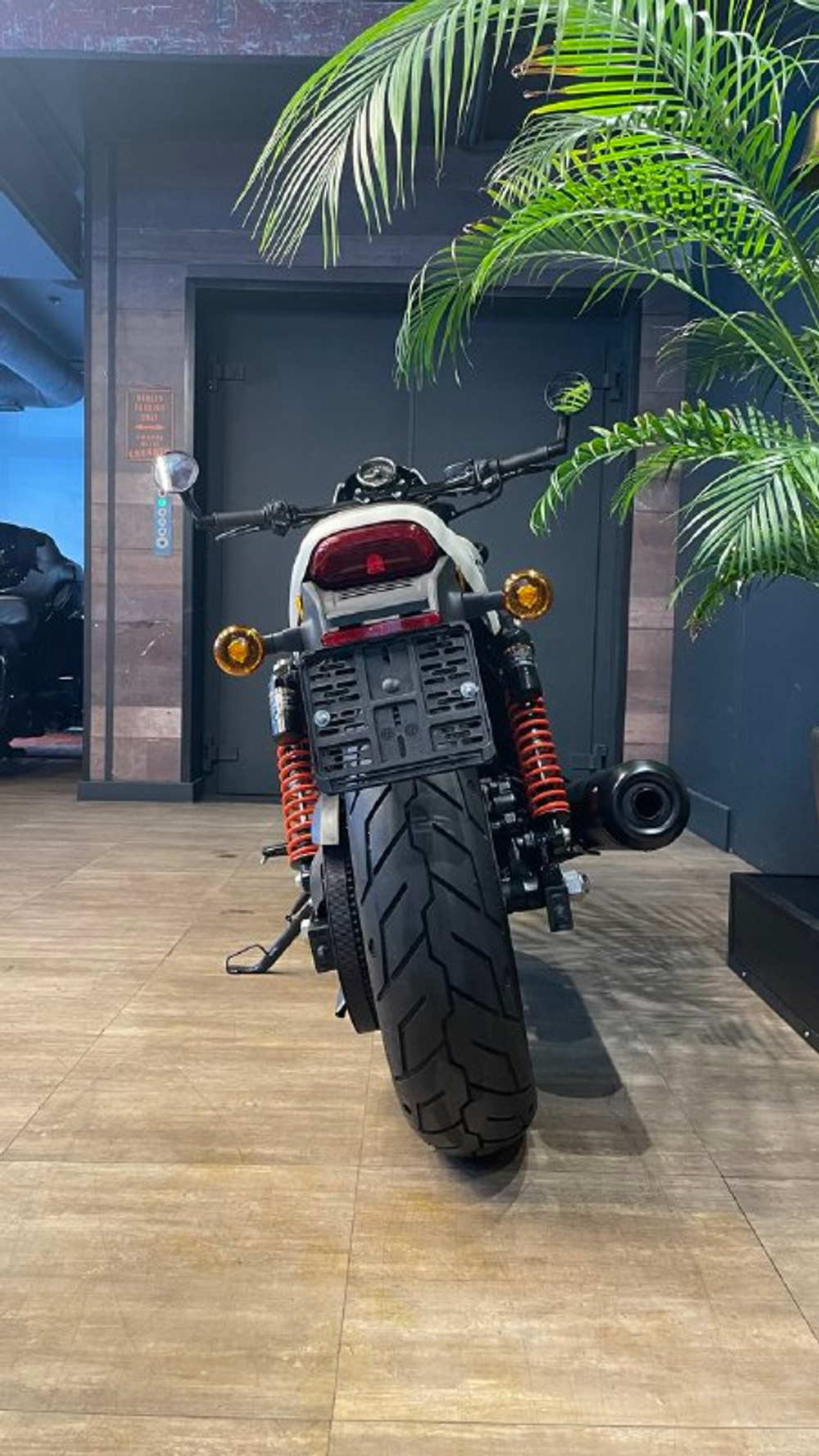 Harley-Davidson Street ROD 2017