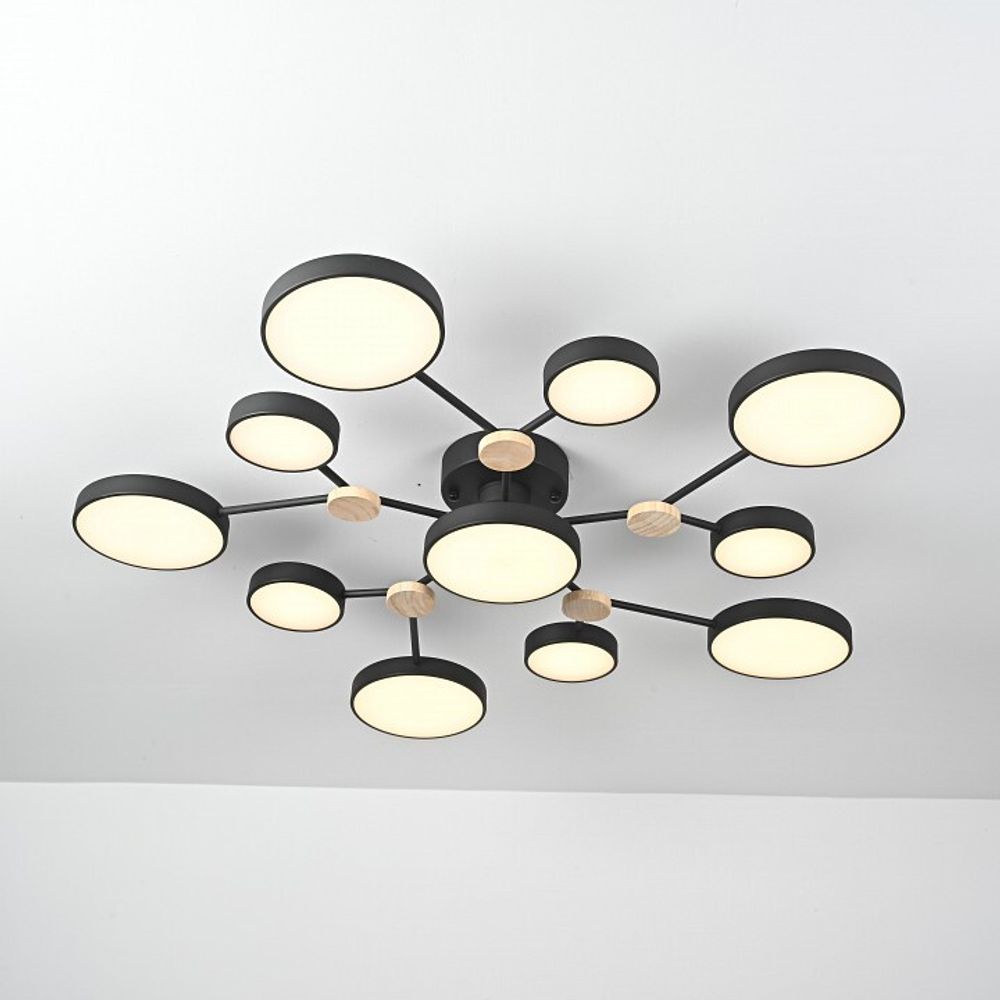 Потолочная люстра Imperiumloft GAMMA gamma01