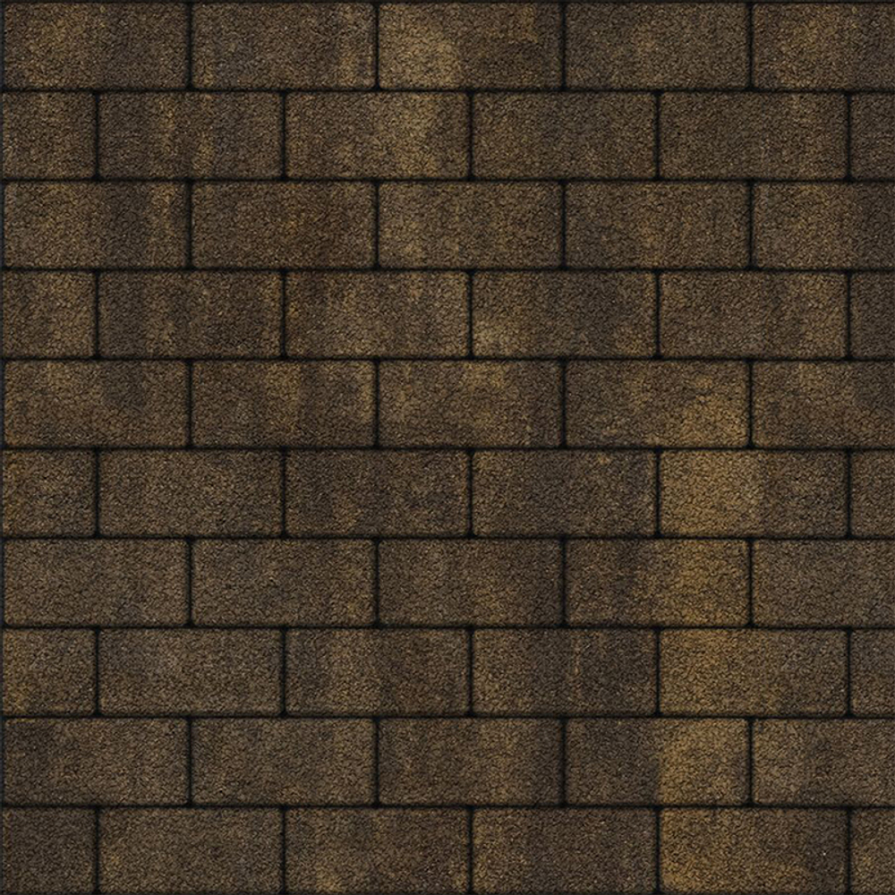 Тротуарная плитка ПРЯМОУГОЛЬНИК 200x100 мм - Листопад гранит Мокко