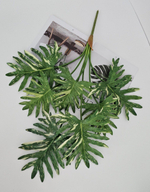 Филодендрон / Арт 6369