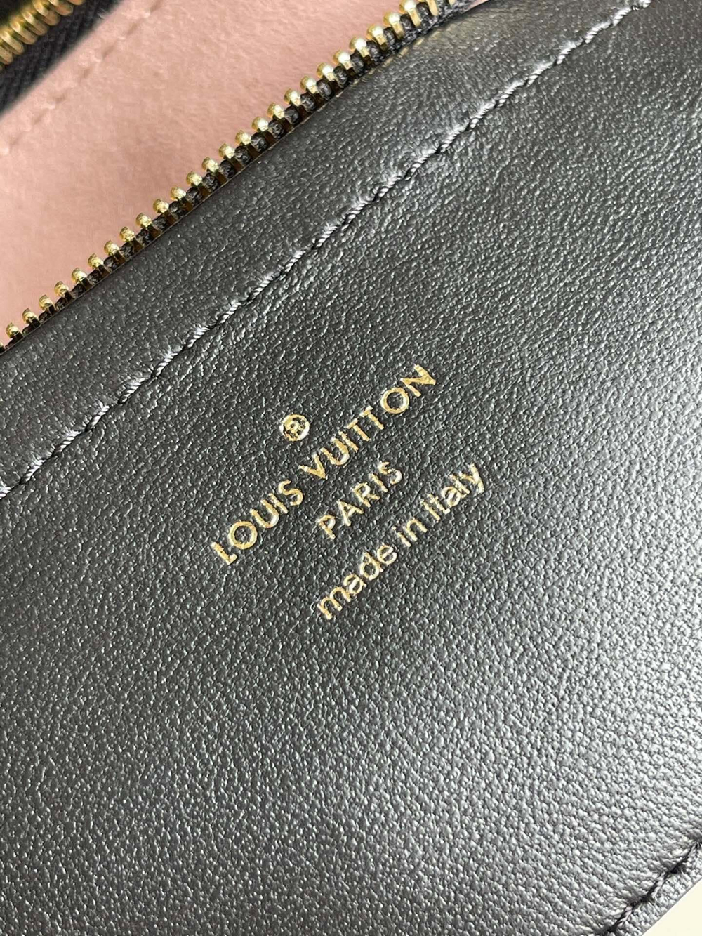 Louis Vuitton Pochette Coussin
