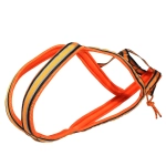 Шлейка ездовая серия Спорт White Wolf