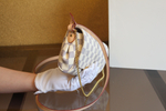 Louis Vuitton Favorite PM