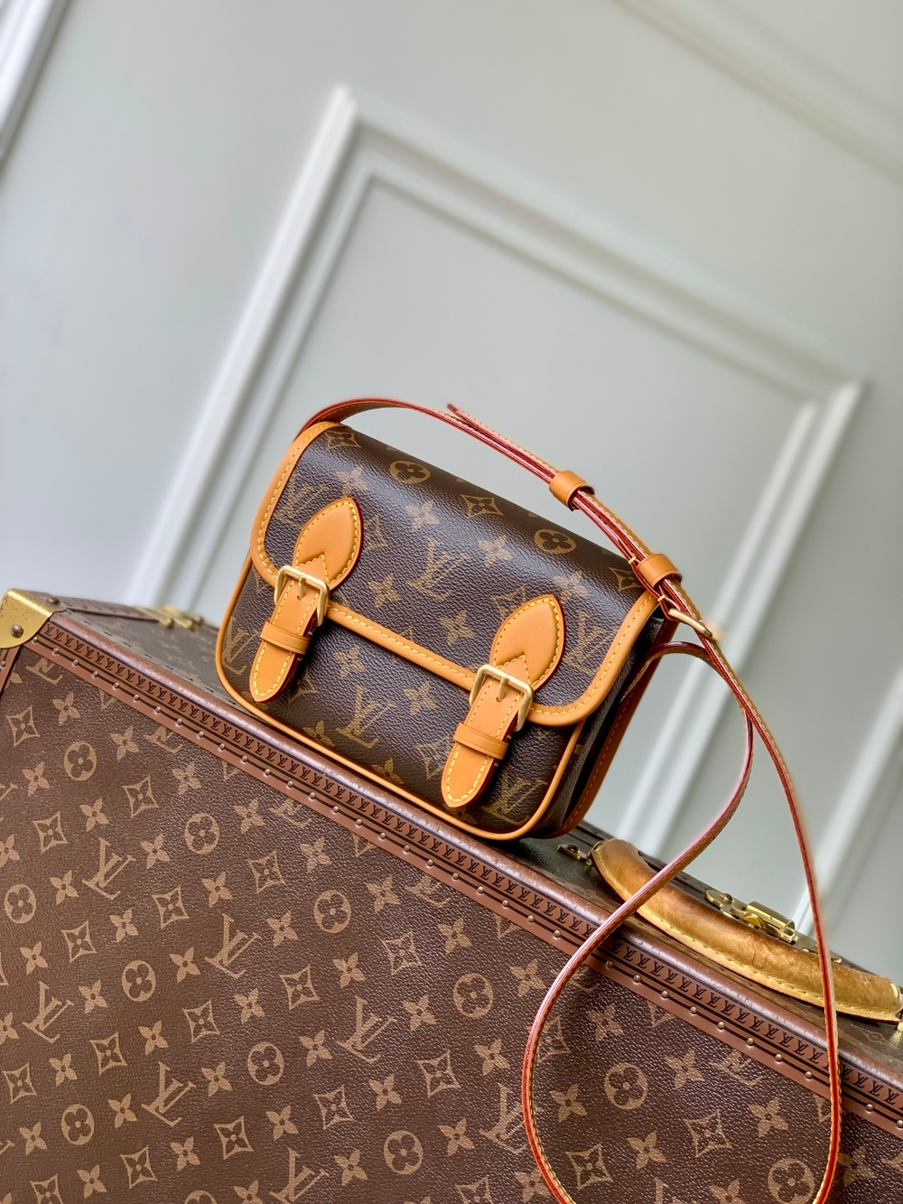 Louis Vuitton Satchel Wearable Wallet
