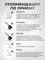 Полный набор для наращивания мышечной массы Гейнер + Протеин + Креатин + BCAA + ZMA