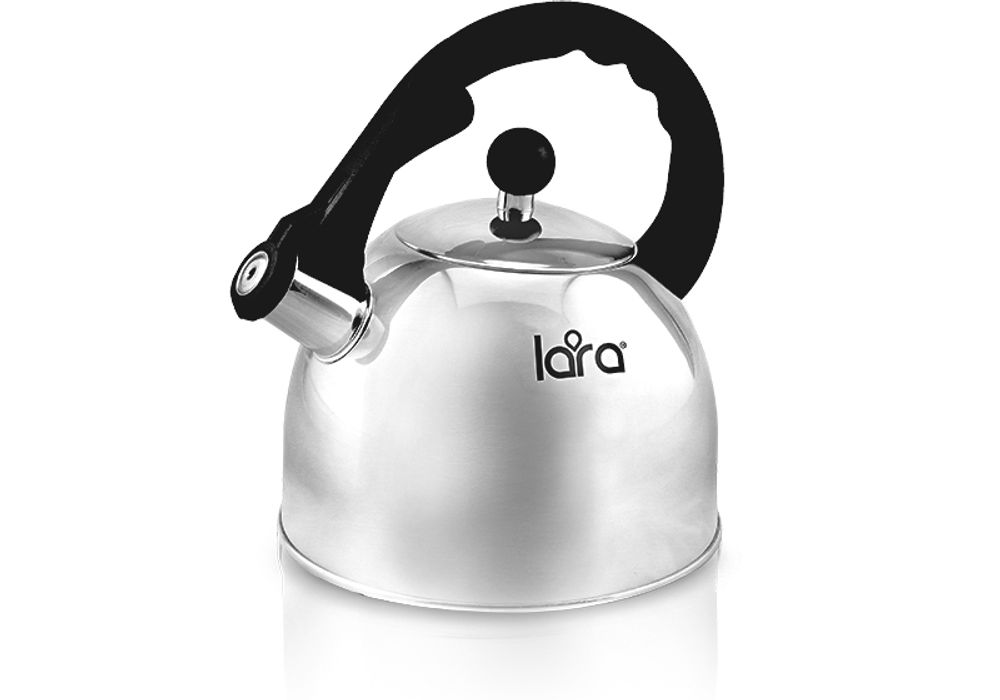 Чайник со свистком Lara LR00-05 (матовый)