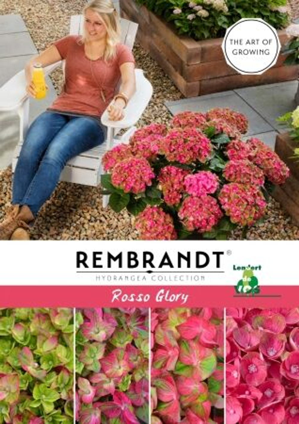 Rosso Glory, Р14 (8/10+) (розовый)