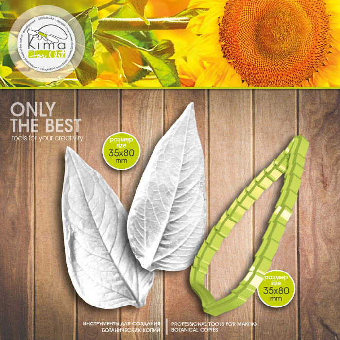 Подсолнух лист средний