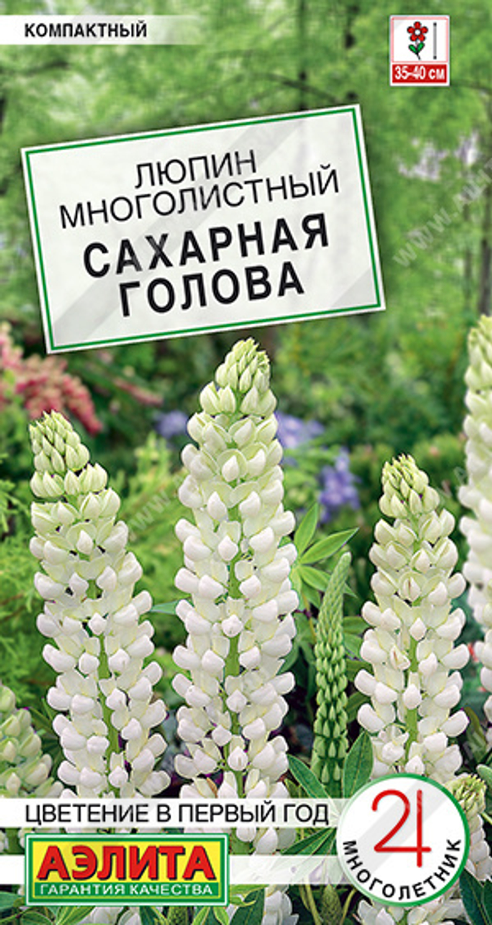 Люпин Сахарная голова 7шт Аэлита