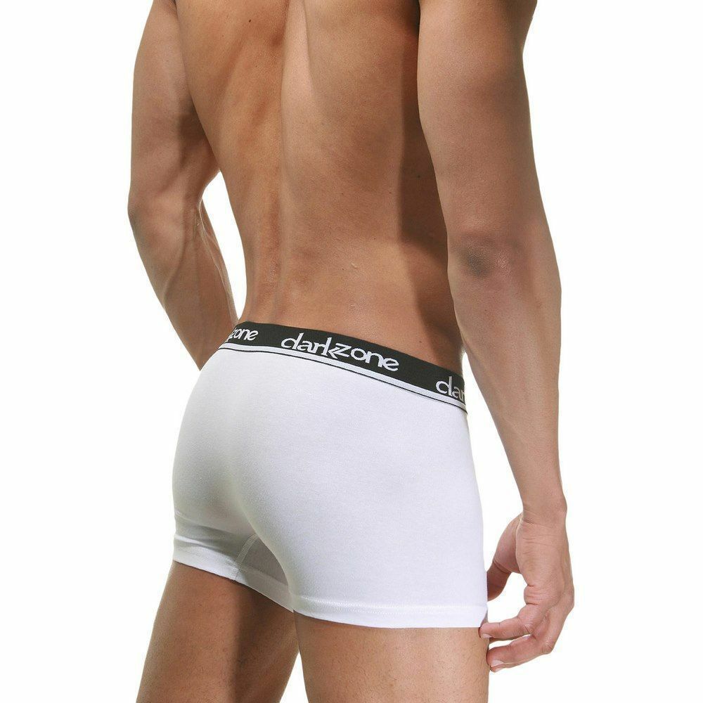 Трусы мужские боксеры белые DARKZONE DZN2302