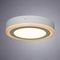 Потолочный светодиодный светильник Arte Lamp Antares A7816PL-2WH