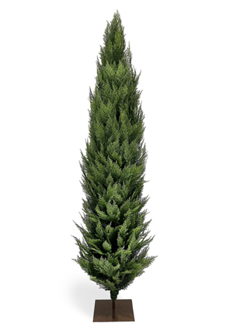 Туя искусственная Западная (Можжевельник)