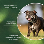 Функциональная кормовая добавка для собак и кошек ProPhyto Сеньор Саппорт, 30 таблеток